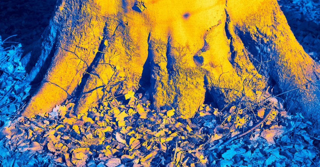 Can LiDAR Penetrate the Ground?